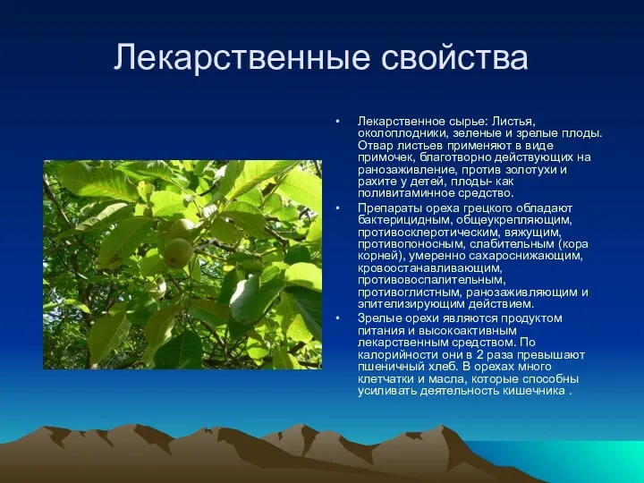 Лекарственные свойства Лекарственное сырье: Листья, околоплодники, зеленые и зрелые плоды.