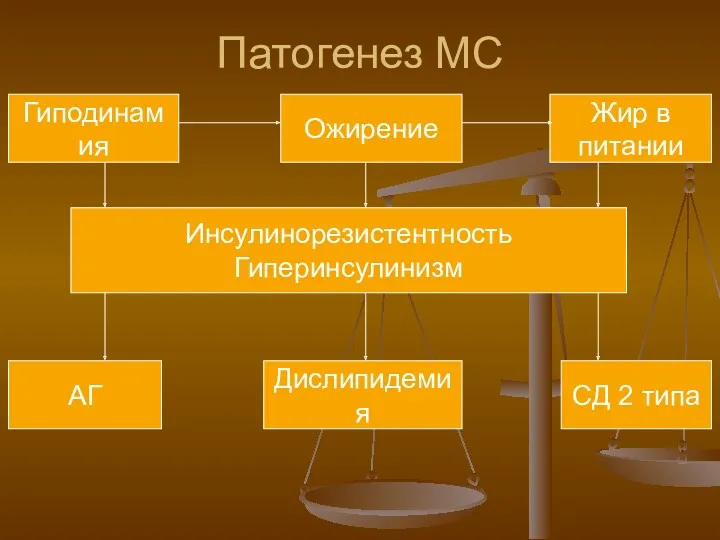 Патогенез МС Гиподинамия Ожирение Жир в питании Инсулинорезистентность Гиперинсулинизм АГ Дислипидемия СД 2 типа