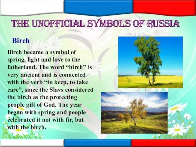 The unofficial symbols of Russia Birch Birch became a symbol