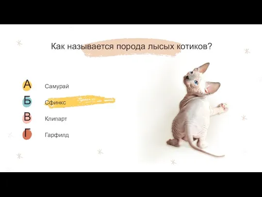 Как называется порода лысых котиков?