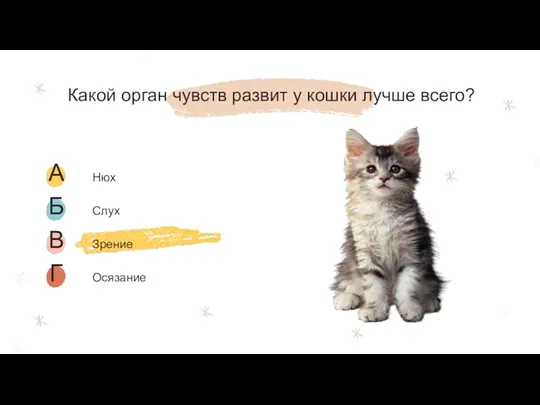 Какой орган чувств развит у кошки лучше всего?