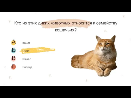 Кто из этих диких животных относится к семейству кошачьих?