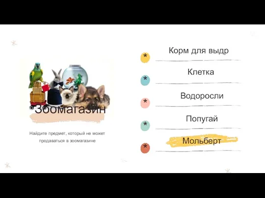 Зоомагазин Найдите предмет, который не может продаваться в зоомагазине Клетка Водоросли Попугай Мольберт Корм для выдр