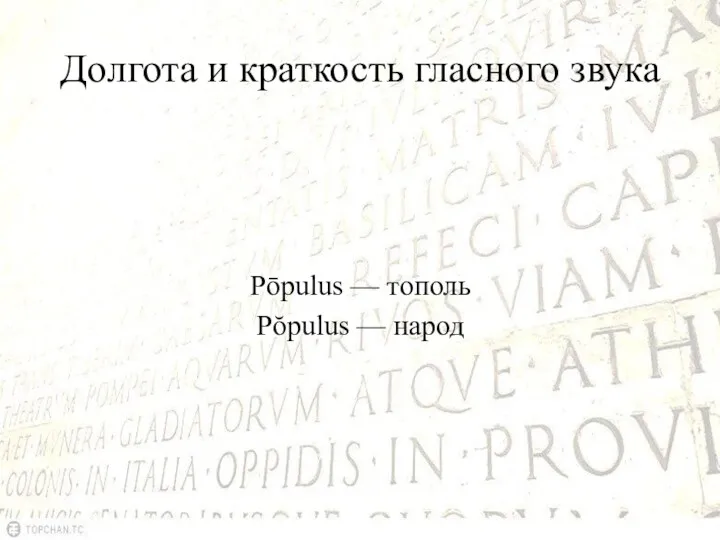 Долгота и краткость гласного звука Pōpulus — тополь Pŏpulus — народ