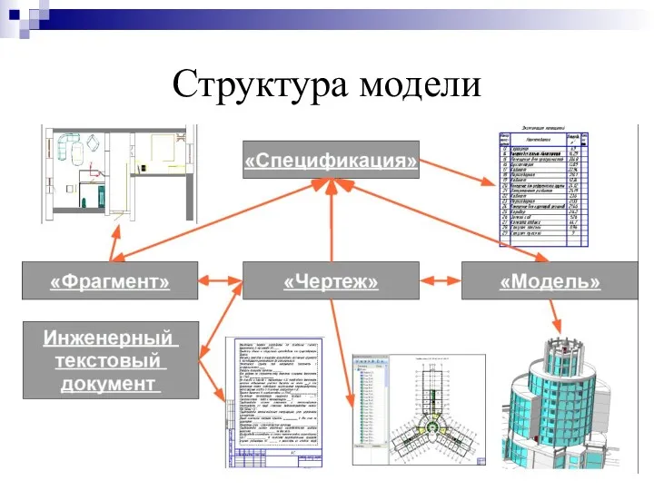 Структура модели