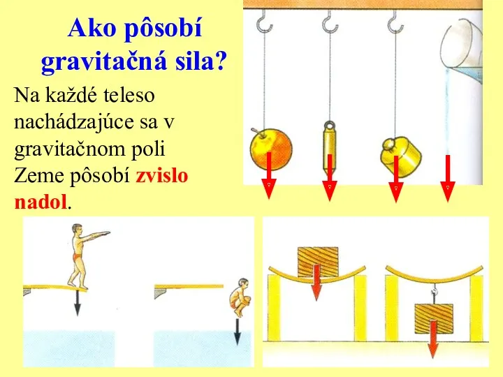 Na každé teleso nachádzajúce sa v gravitačnom poli Zeme pôsobí zvislo nadol. Ako pôsobí gravitačná sila?