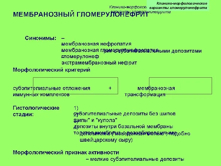 Клинико-морфологические варианты гломерулонефрита