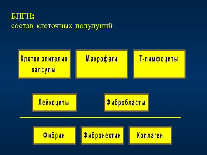 БПГН: состав клеточных полулуний