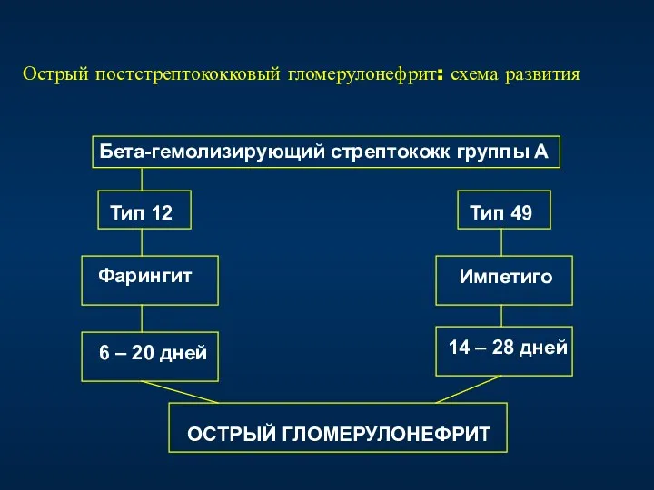 Острый постстрептококковый гломерулонефрит: схема развития Бета-гемолизирующий стрептококк группы А Тип