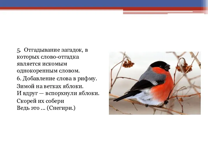 5. Отгадывание загадок, в которых слово-отгадка является искомым однокоренным словом.