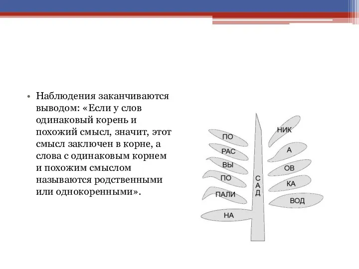 Наблюдения заканчиваются выводом: «Если у слов одинаковый корень и похожий смысл, значит, этот