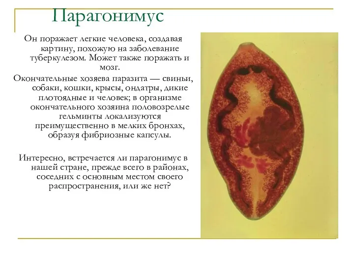 Он поражает легкие человека, создавая картину, похожую на заболевание туберкулезом.