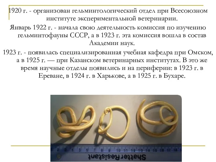 1920 г. - организован гельминтологический отдел при Всесоюзном институте экспериментальной