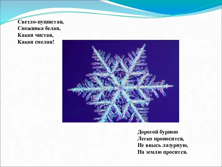 Светло-пушистая, Снежинка белая, Какая чистая, Какая смелая! Дорогой бурною Легко