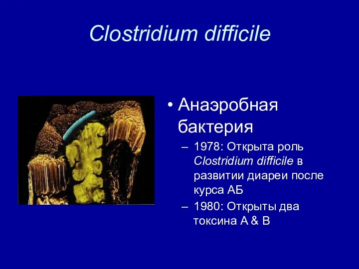 Clostridium difficile Анаэробная бактерия 1978: Открыта роль Clostridium difficile в