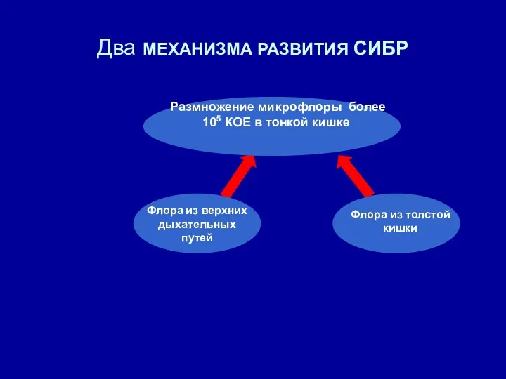 Два МЕХАНИЗМА РАЗВИТИЯ СИБР Флора из верхних дыхательных путей Флора из толстой кишки