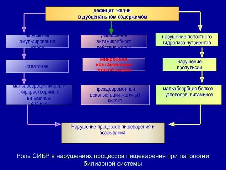 дефицит желчи в дуоденальном содержимом нарушение эмульгирования жиров стеаторея мальабсорбция