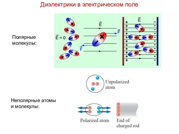 Диэлектрики в электрическом поле Полярные молекулы: Неполярные атомы и молекулы:
