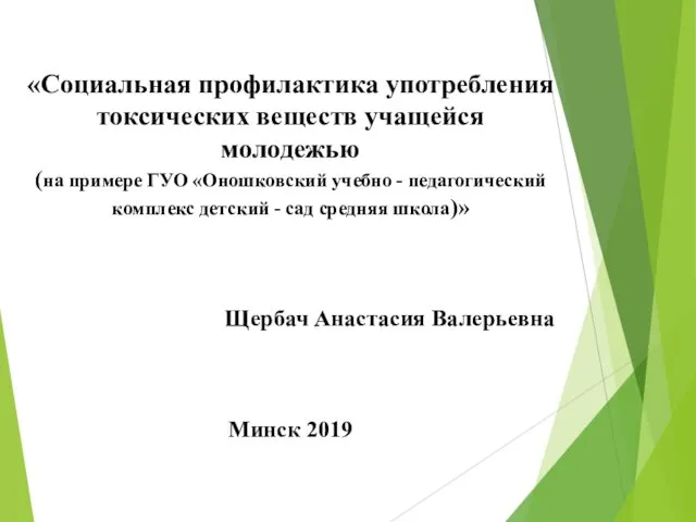 Социальная профилактика употребления токсических веществ учащейся молодежью