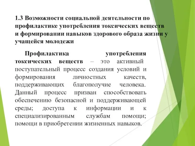 1.3 Возможности социальной деятельности по профилактике употребления токсических веществ и