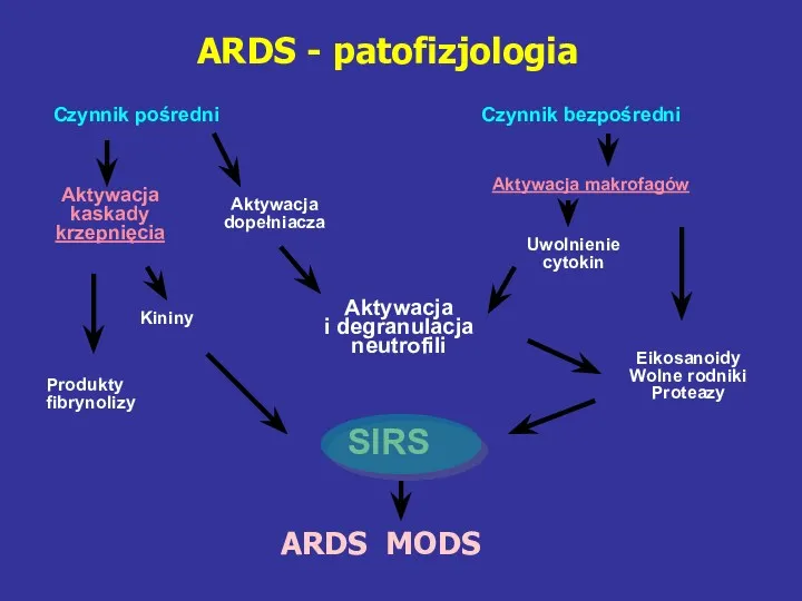 ARDS - patofizjologia Czynnik pośredni Czynnik bezpośredni SIRS ARDS MODS