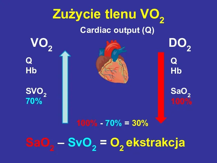 Cardiac output (Q) Q Hb SaO2 100% Q Hb SVO2