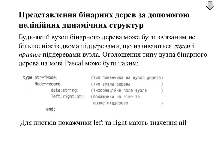 Представлення бінарних дерев за допомогою нелінійних динамічних структур Будь-який вузол