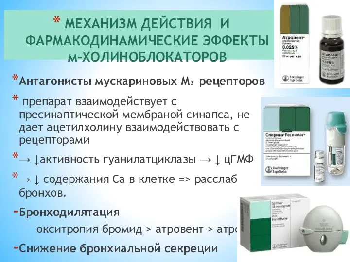 МЕХАНИЗМ ДЕЙСТВИЯ И ФАРМАКОДИНАМИЧЕСКИЕ ЭФФЕКТЫ м-ХОЛИНОБЛОКАТОРОВ Антагонисты мускариновых М3 рецепторов