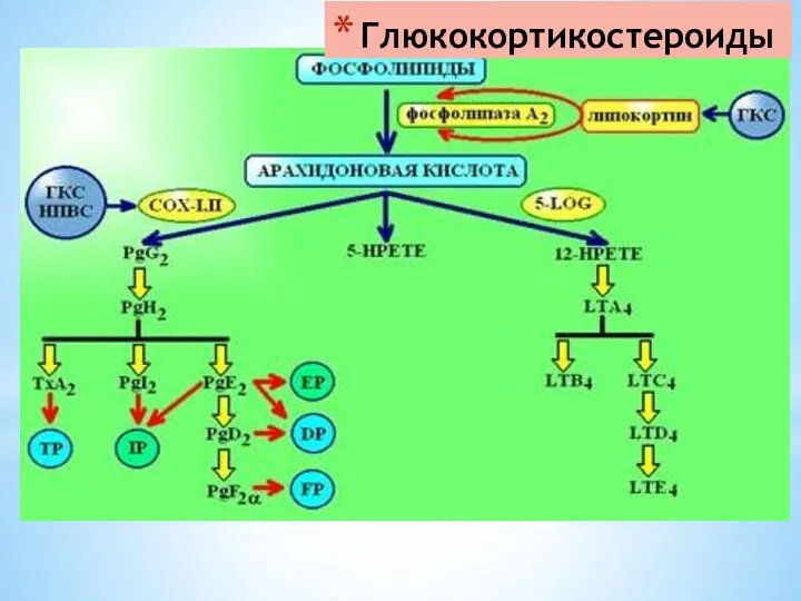 Глюкокортикостероиды