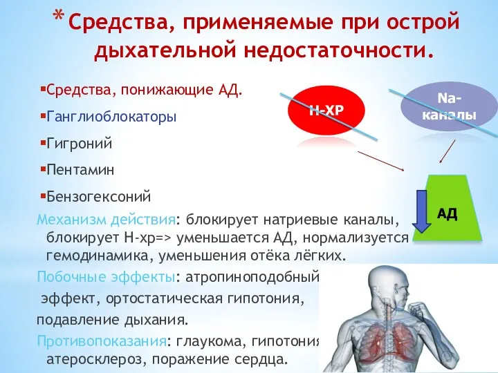 Средства, применяемые при острой дыхательной недостаточности. Средства, понижающие АД. Ганглиоблокаторы