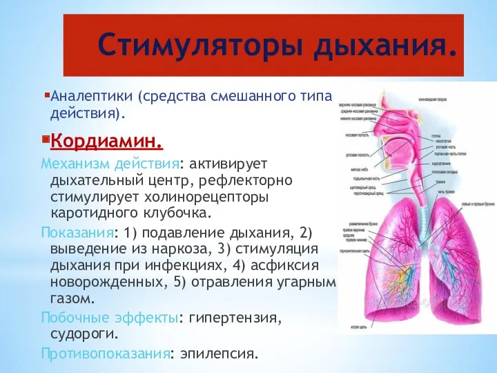 Стимуляторы дыхания. Аналептики (средства смешанного типа действия). Кордиамин. Механизм действия: