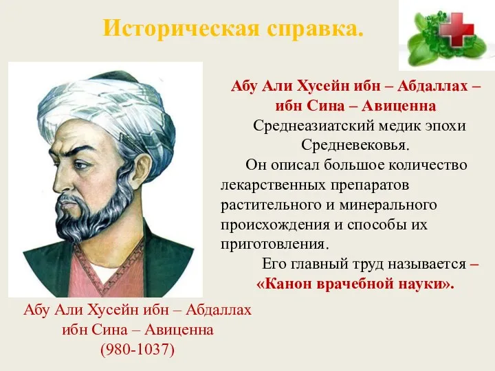 Историческая справка. Абу Али Хусейн ибн – Абдаллах – ибн