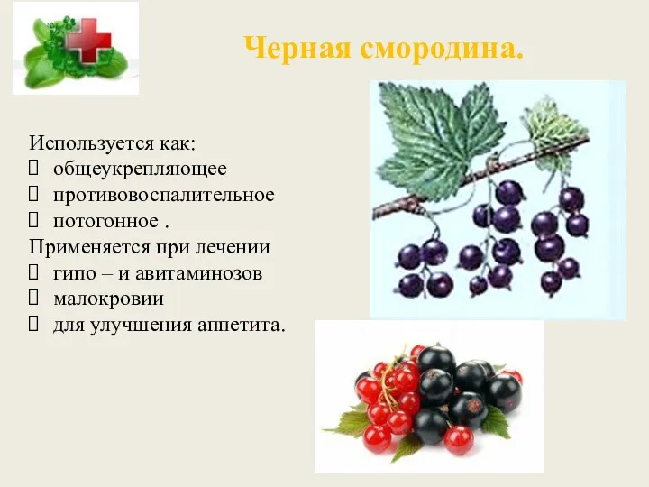 Черная смородина. Используется как: общеукрепляющее противовоспалительное потогонное . Применяется при