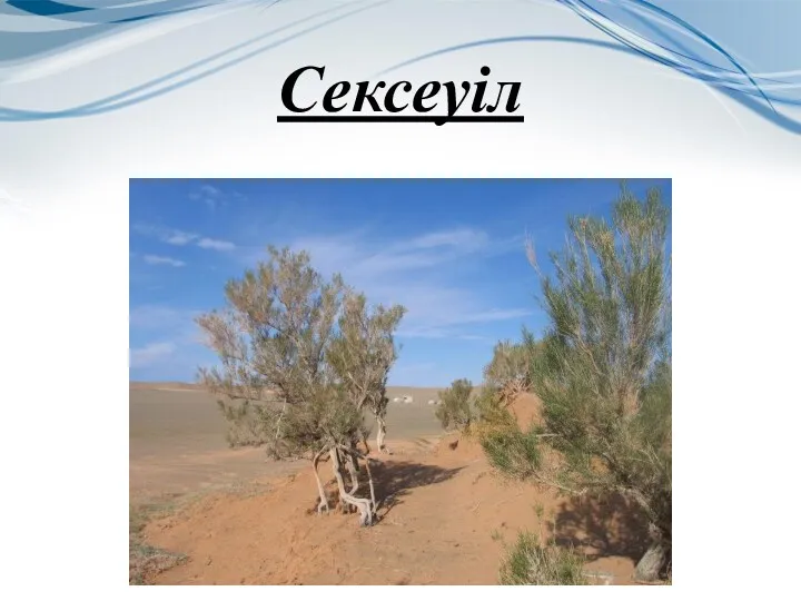 Сексеуіл