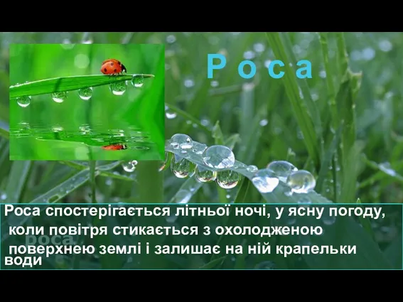 Роса спостерігається літньої ночі, у ясну погоду, коли повітря стикається