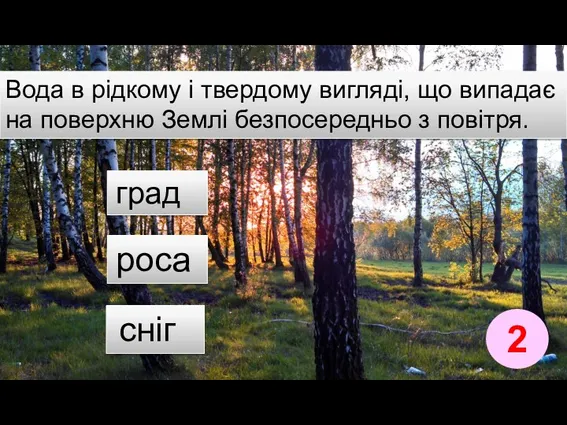 Вода в рідкому і твердому вигляді, що випадає на поверхню