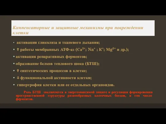 Компенсаторные и защитные механизмы при повреждении клетки активация гликолиза и