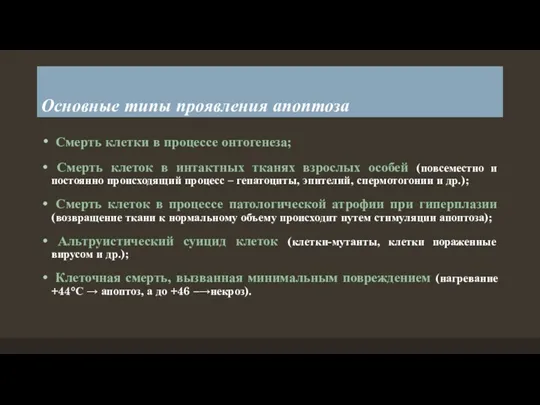 Основные типы проявления апоптоза Смерть клетки в процессе онтогенеза; Смерть