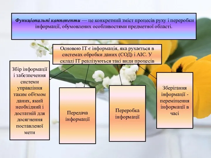 Функціональні компоненти — це конкретний зміст про­цесів руху і переробки