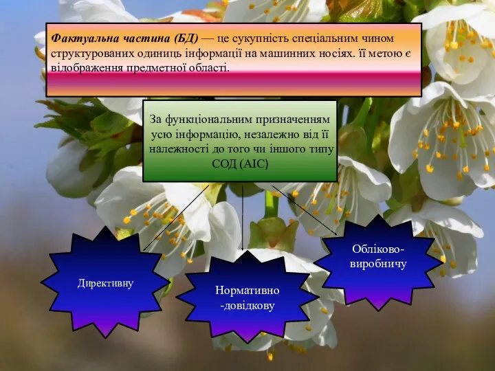 Фактуальна частина (БД) — це сукупність спеціальним чином структурованих одиниць інформації на машинних