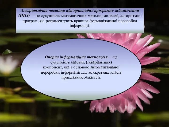 Алгоритмічна частина або прикладне програмне забезпе­чення (ППЗ) — це сукупність математичних методів, моделей,