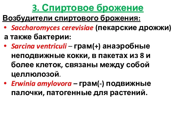 3. Спиртовое брожение Возбудители спиртового брожения: Saccharomyces cerevisiae (пекарские дрожжи)