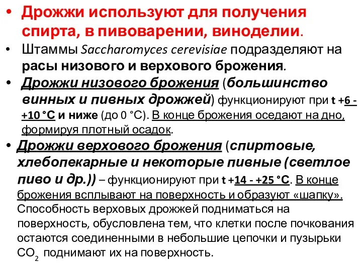 Дрожжи используют для получения спирта, в пивоварении, виноделии. Штаммы Saccharomyces