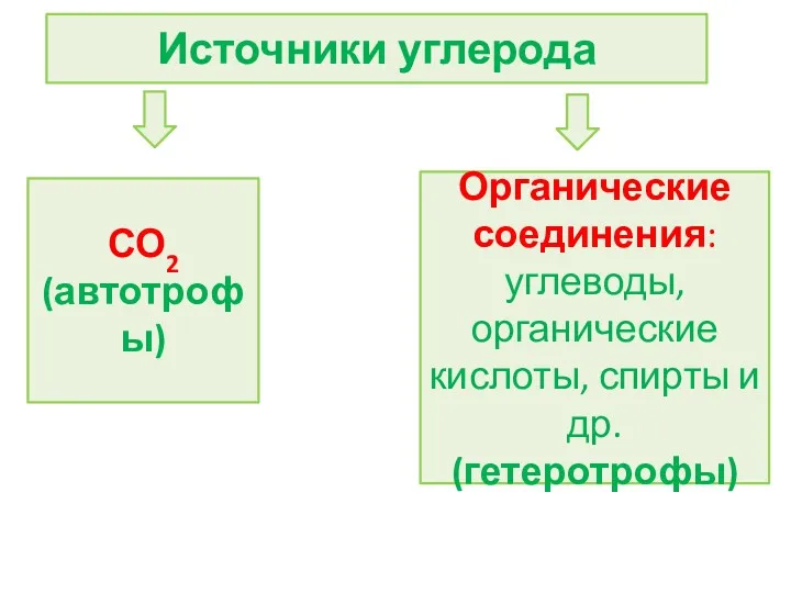 Источники углерода СО2 (автотрофы) Органические соединения: углеводы, органические кислоты, спирты и др. (гетеротрофы)