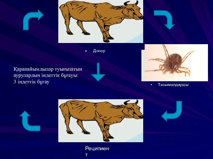 Донор Тасымалдаушы Реципиент Қарапайымдылар туығызатын аурулардың індеттік бұғауы: 3 індеттік бұғау