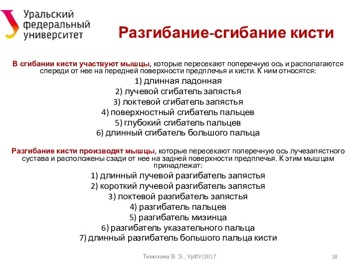 Тимохина В. Э., УрФУ/2017 Разгибание-сгибание кисти В сгибании кисти участвуют