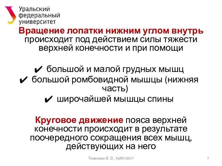 Вращение лопатки нижним углом внутрь происходит под действием силы тяжести