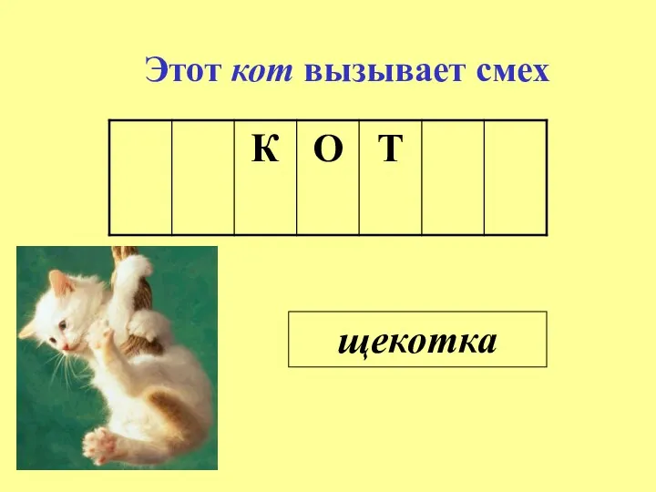 Этот кот вызывает смех щекотка