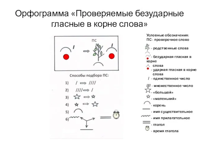 Проверяемые безударные гласные в корне слова