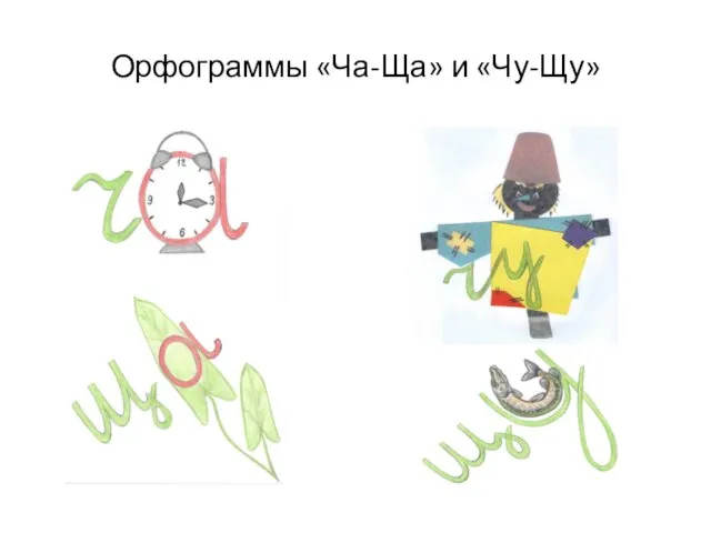 Орфограммы «Ча-Ща» и «Чу-Щу»